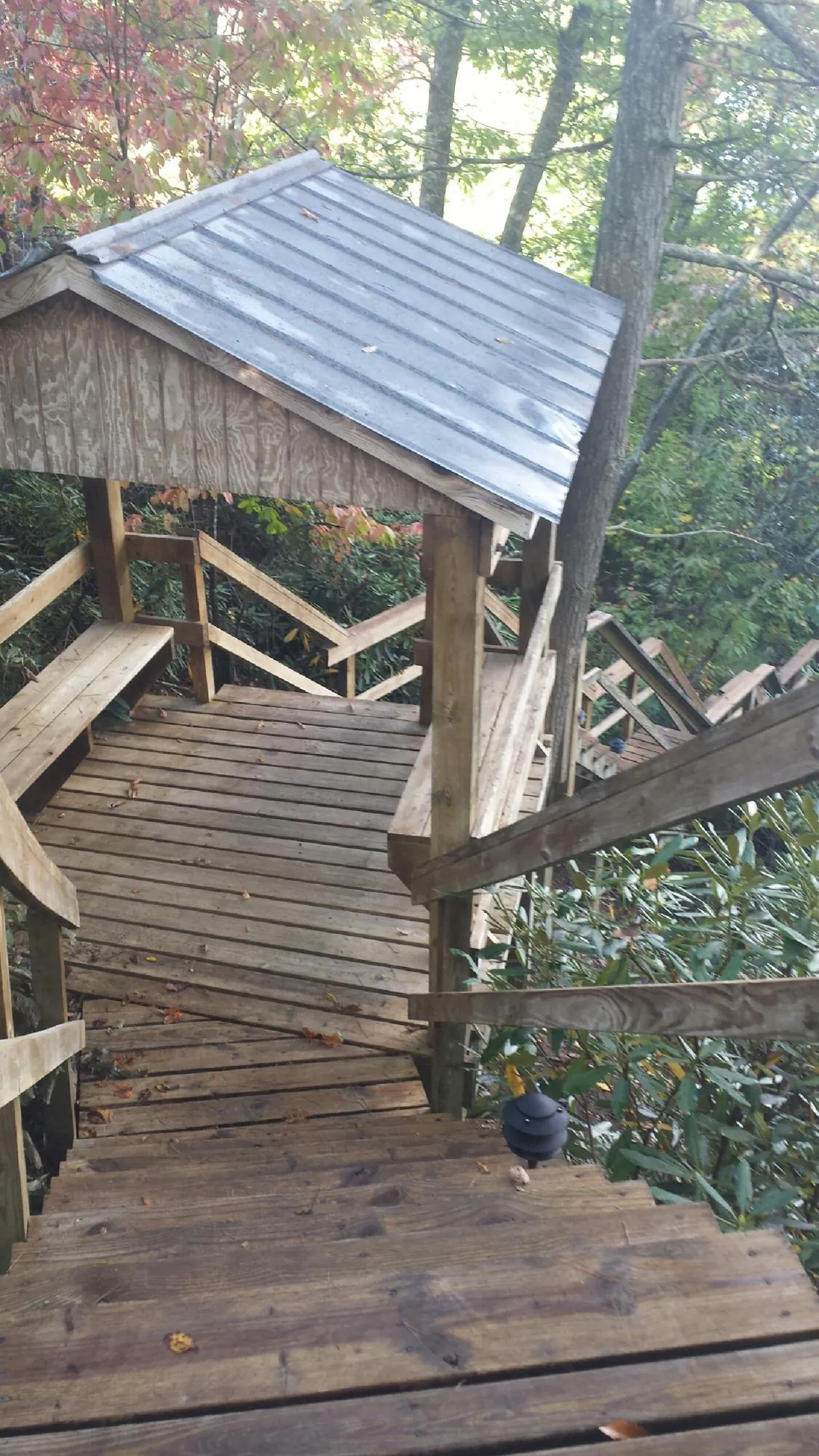 Metal roofed shelter over wooden steps on a wooded walkway — Skylight Repair & Installation work by our crew in Powells Point